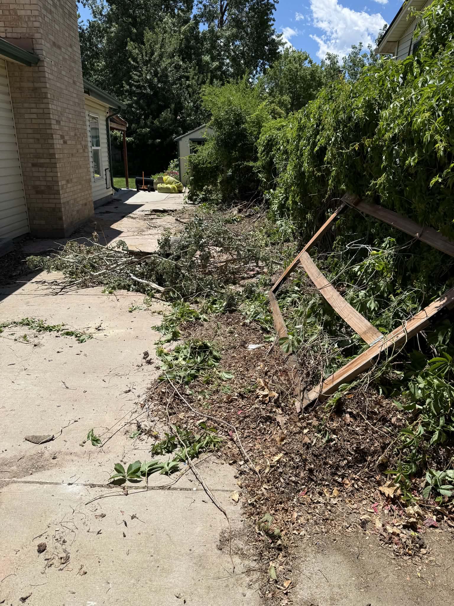Yard Waste & Debris